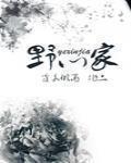 野心家形象