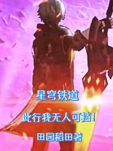 星穹铁道抽卡记录查询工具
