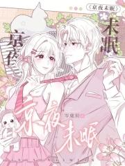 京夜未眠岑鹿初晋江