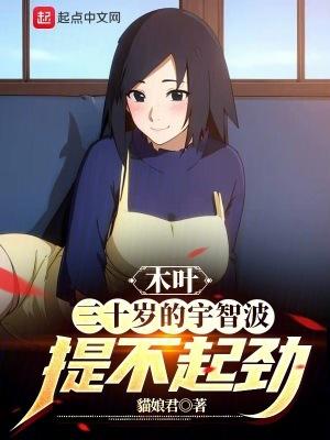 木叶欠宇智波一个火影