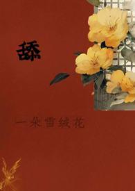胶原羹怎么吃