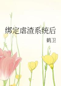 绑定虐渣系统后 番外 作者鹤卫