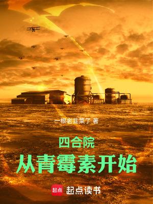 四合院从青霉素开始无防盗