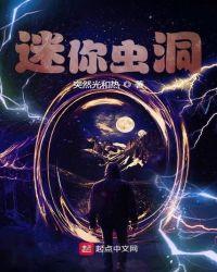 迷你虫洞txt
