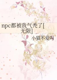 npc都被我气秃了无限