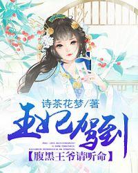 王妃要休夫免费阅读