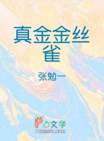 官场从小职员到权力之巅 第212章