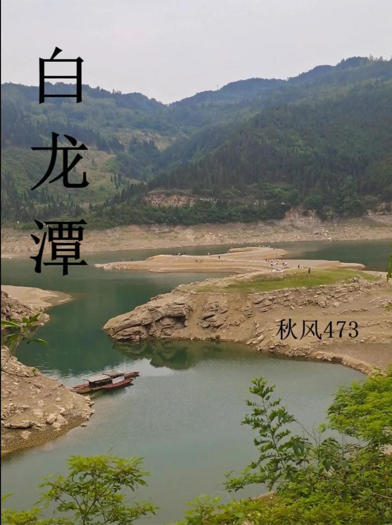 魅王宠妻鬼医纨绔妃全文免费阅读