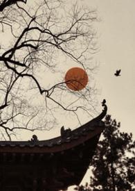 可以无悔矣