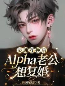 灵魂互换后Alpha老公想复婚